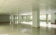 Rented! Stunning Office & Shop Space For Rent Starting from 13$ per square meter