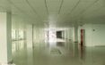Rented! Stunning Office & Shop Space For Rent Starting from 13$ per square meter